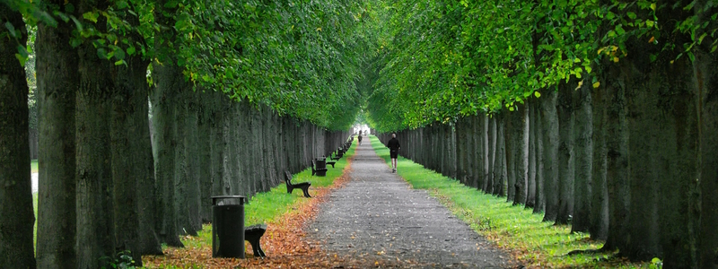 L'offre culturelle et les 5 choses à savoir sur Hanovre