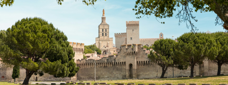 6. Wie deutsche Bewerber erfolgreich in Avignon Fuß fassen