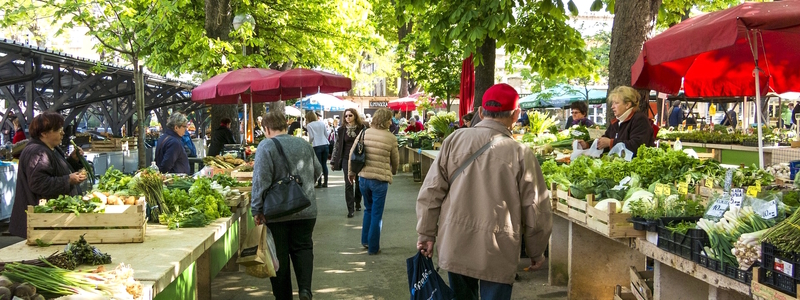 Herausforderungen und Zukunftsperspektiven der Food-Branche