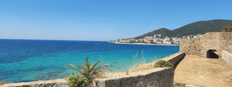 4. Baugewerbe und Handwerk: Lokale Nachfrage steigt