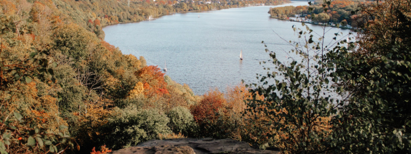 4. Pourquoi les Français ont une carte à jouer à Essen