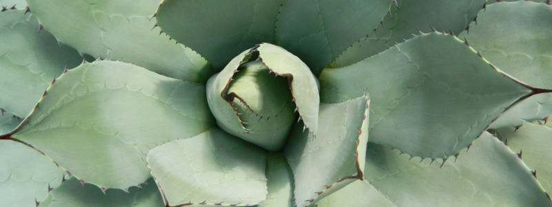 6. Conclusion : conseils pour candidater efficacement