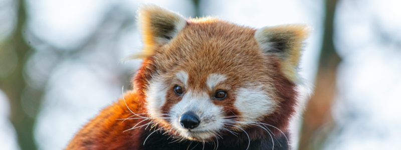 5. Logistique, enseignement et autres métiers recherchés