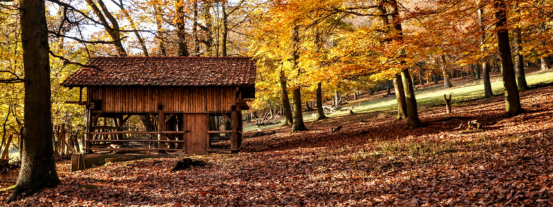 5. Hôtellerie‑restauration & tourisme