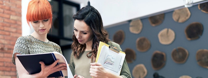 Ausbildung, Spezialisierung und Karriereweg überprüfen