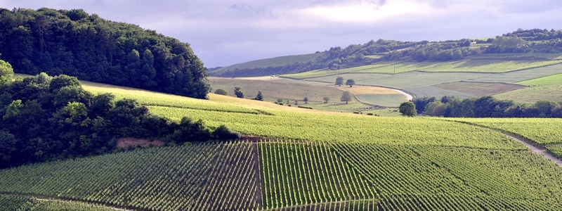 Wo lebt es sich besonders gut in Luxemburg