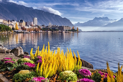 Vivre et travailler en Suisse en tant que Français : guide